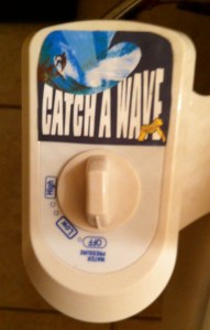 "Catch A Wave" control panel. Choose from four wave sizes.